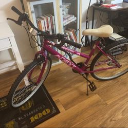 Parowan Bicycle - Magenta/Hot Pink