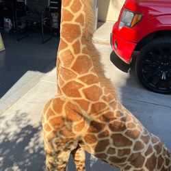 5.5 Ft Tall Giraffe
