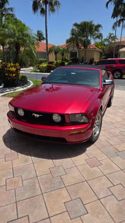 2005 Ford Mustang