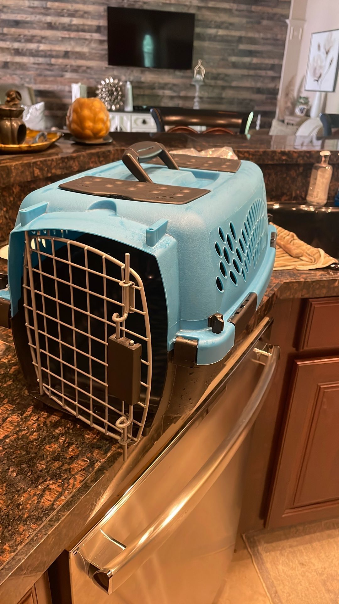 Like New Medium Pet Carrier 