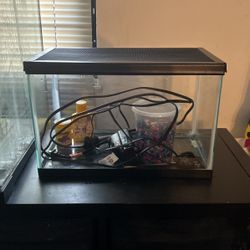 Fish Stuff