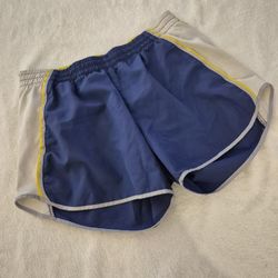 Nike Dry Fit Shorts, Small