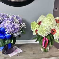 Fresh Cut Flowers 