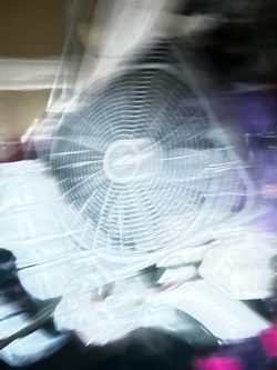 Box fan