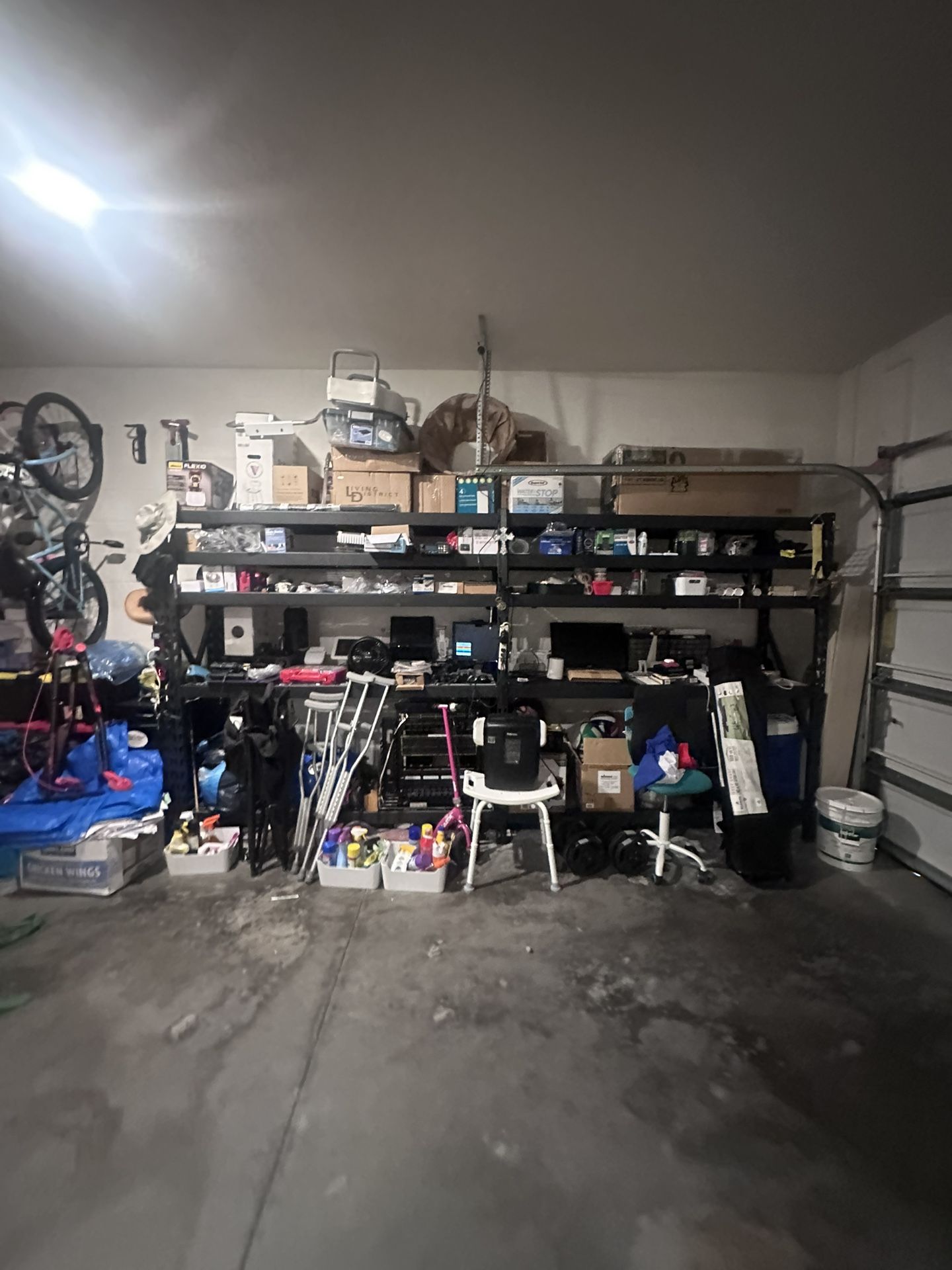 Only The Shelves Husky