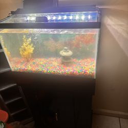 Fish Tank With All Supplies Including All Puma And Filters 