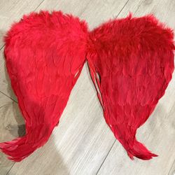 Red Feathered Wings