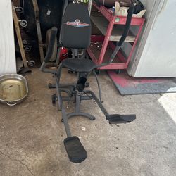 Cardio cruiser Exercise machine 