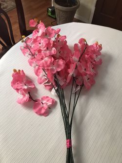 Orchid hot pink