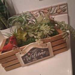 Succulents Next To Real  Planter Box  12" 