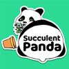Succulent Panda 🪴 