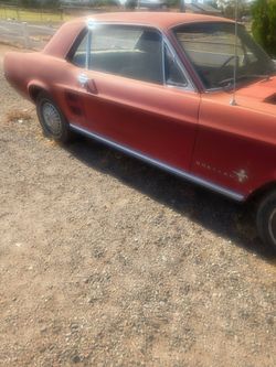 Ford mustang
