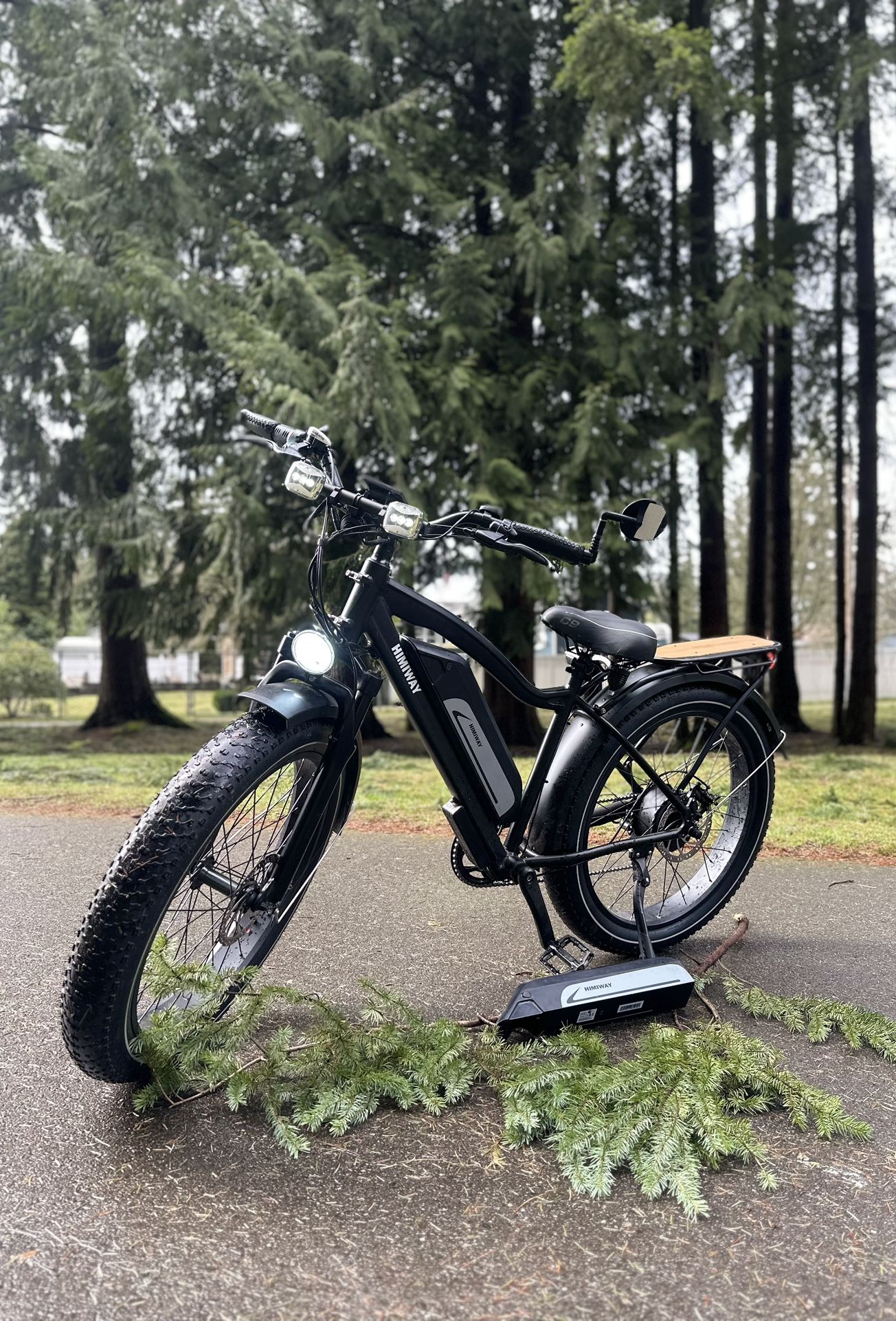 Cruiser E-bike