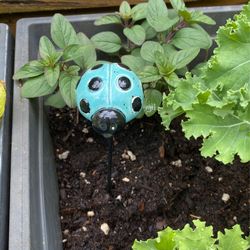 Handmade Ladybugs