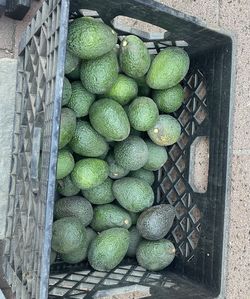 Organic Hass Avocados 