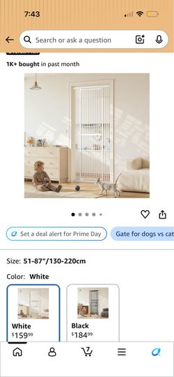 Cat Gate