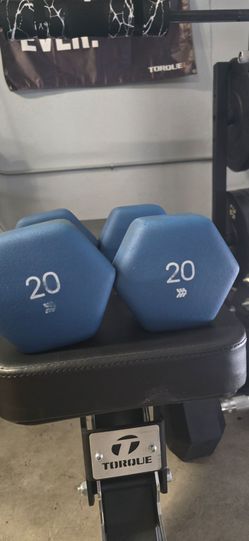 Neoprene coated 20lb dumbbells x2