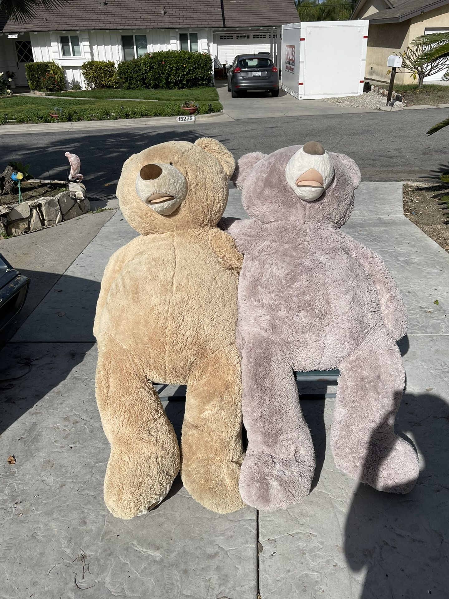 Costco Big Teddy bears