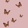 pinkbutterfly 
