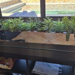 Large Succulent Arrangement 