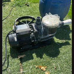 pool pump and filter