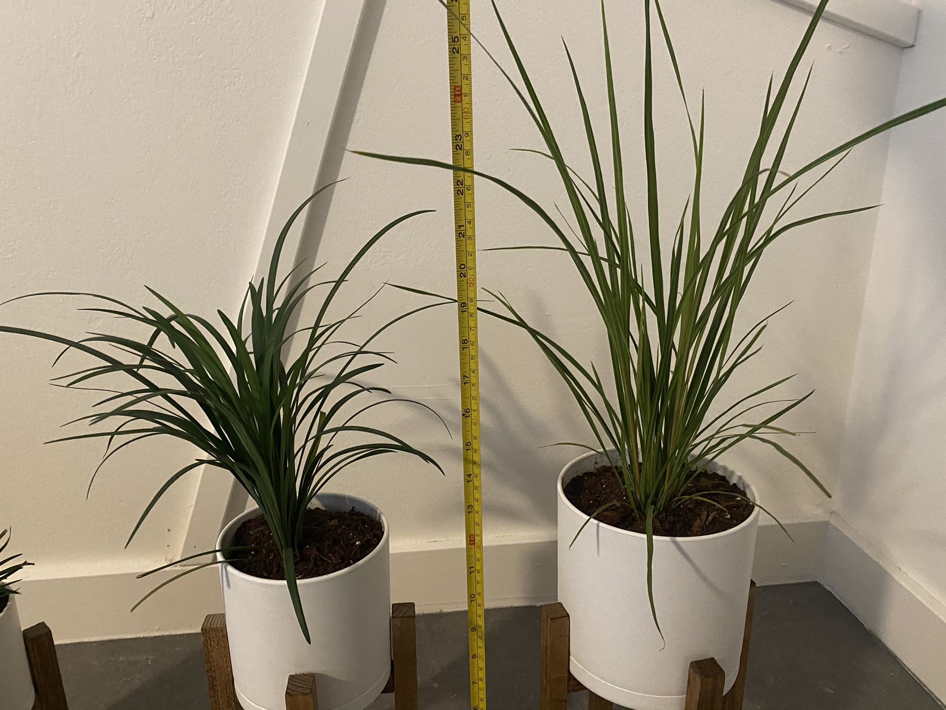 House Plants Planters and Stands Set Of 3