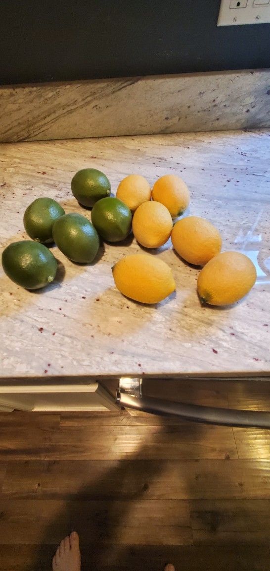 Like New Plastic Fruit