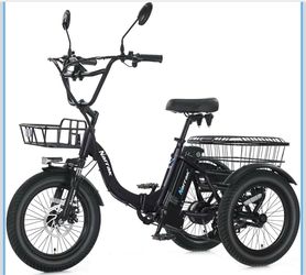 3 wheeler electric bike