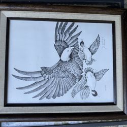 Jack Tavenner Framed And Signed Bird Lithograph