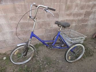 Blue Tricycle