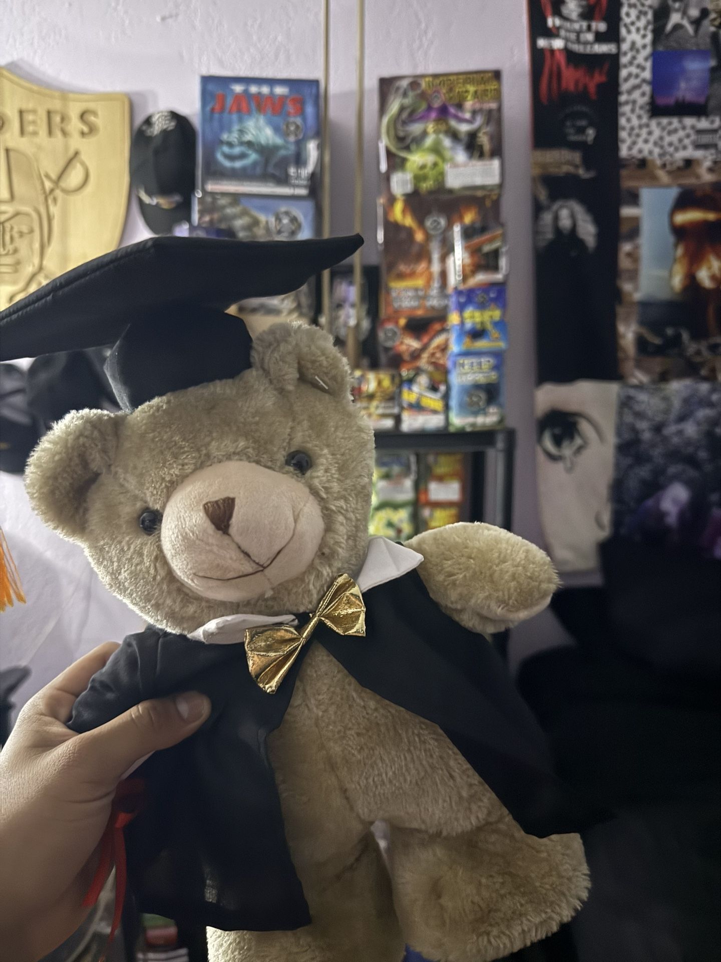 Graduation Teddy Bears