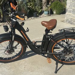 Rad Rover Plus Many Upgrades 325 Total Miles