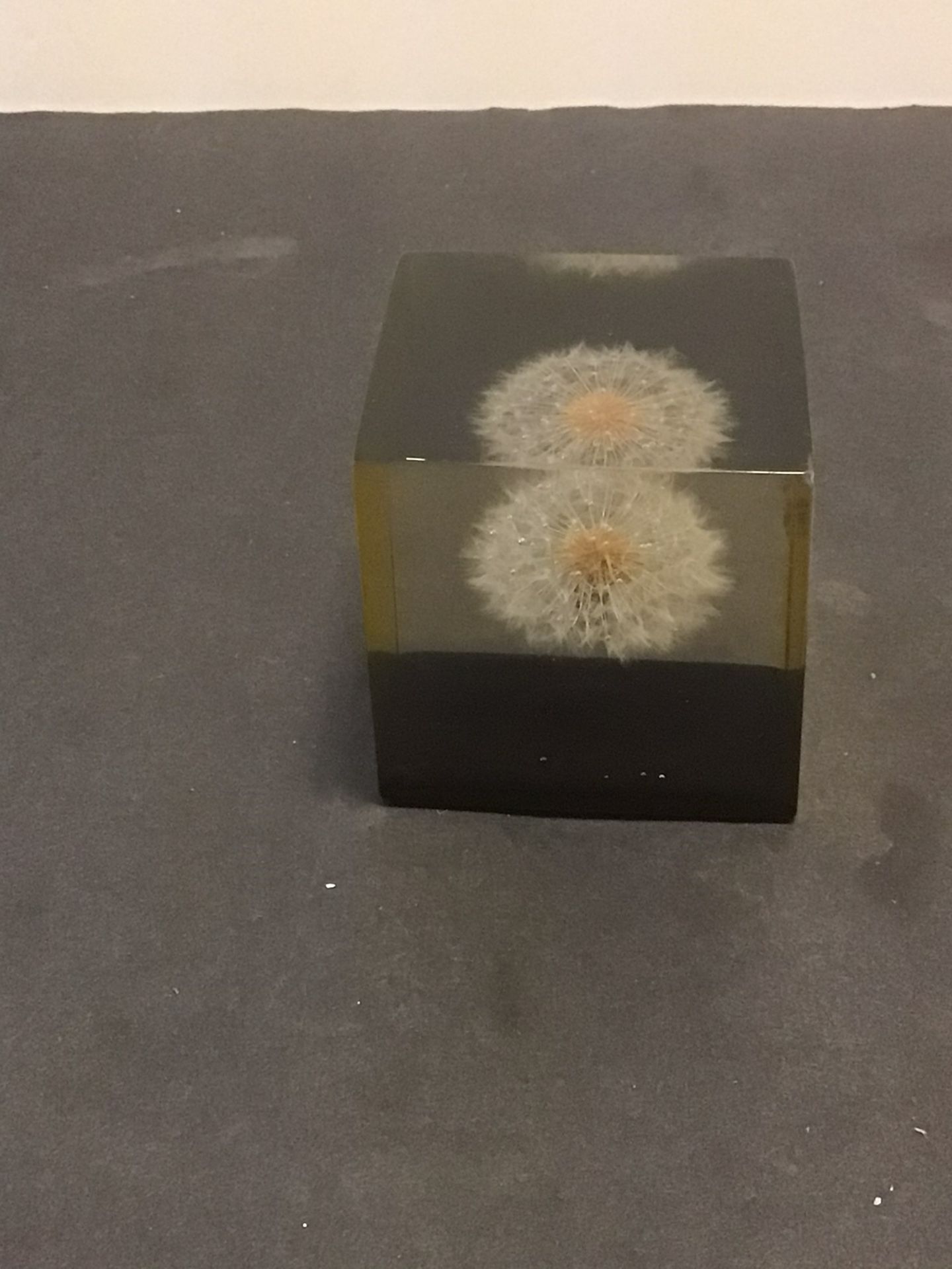 Vintage Mid Century Gump’s Natural Plant Glass Paper Weight Rare Paperweights