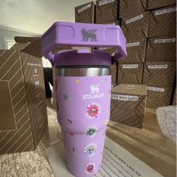 Power Puff Girl Stanley 