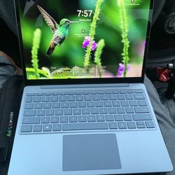 Microsoft Windows Surface Laptop Go 