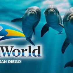 3 Sea World Passes