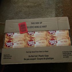 Butterscotch Pudding Snack Pack Cups 12x4 Packs 48 Cups Exp 5/30/2024