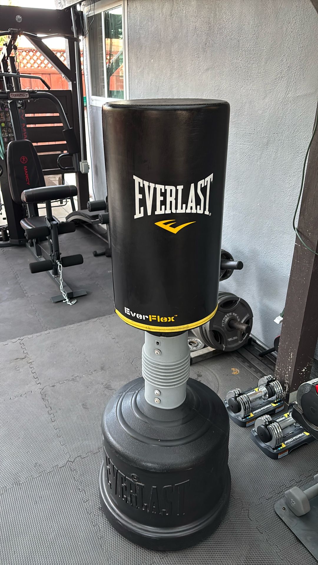 Everlast Punching Bag
