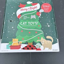 Cat Advent Calendar 