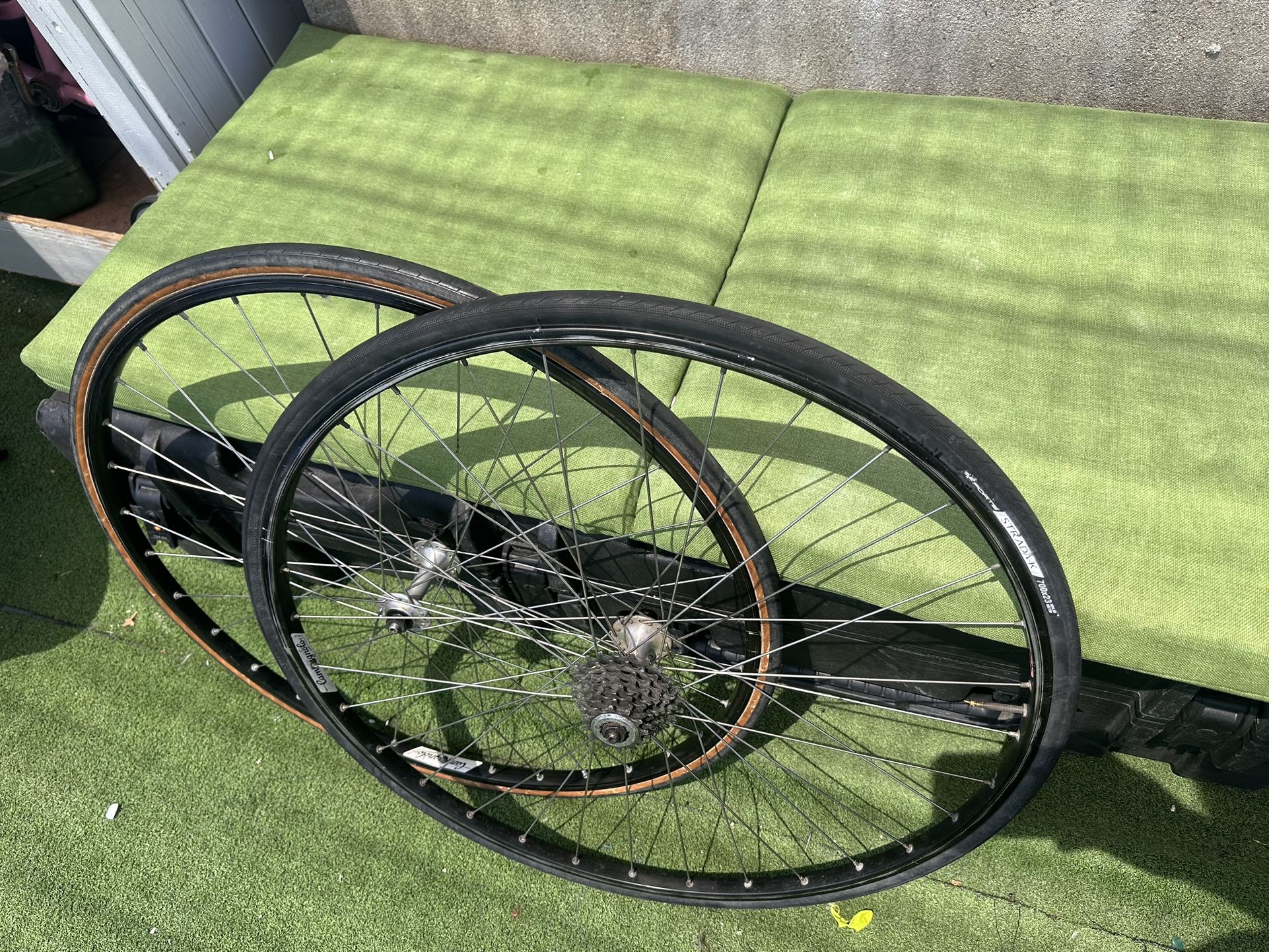 Rines 700c Campagnolo