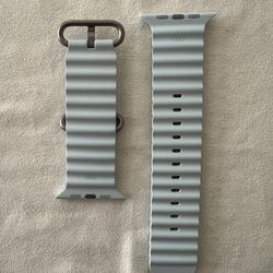 Apple Ocean Band Ice Blue Natural Titanium