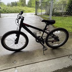 20in Kids Bike