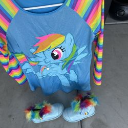 Rainbow Dash Costume Used 