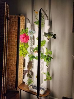 Gardyn Indoor Hydroponic Garden Tower