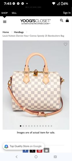 Louis Vuitton purse