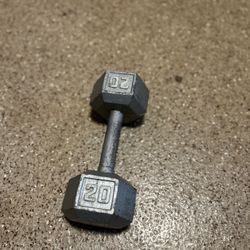 20 lb dumbbell