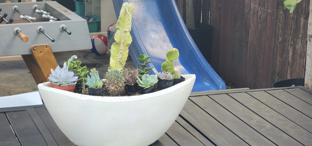 Succulents Planter