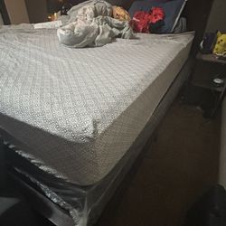 Twin Box Springs