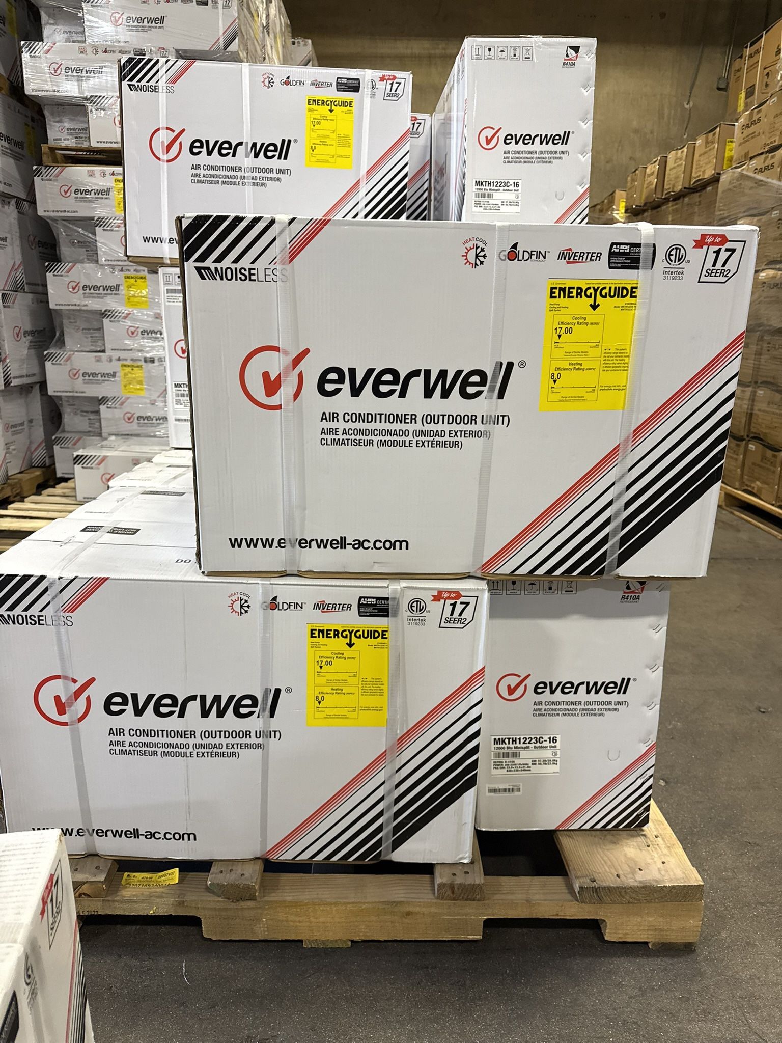 Everwell 1 Ton Mini Split