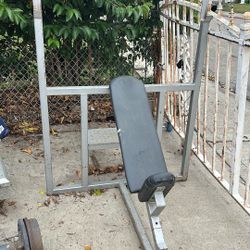 weight bench 